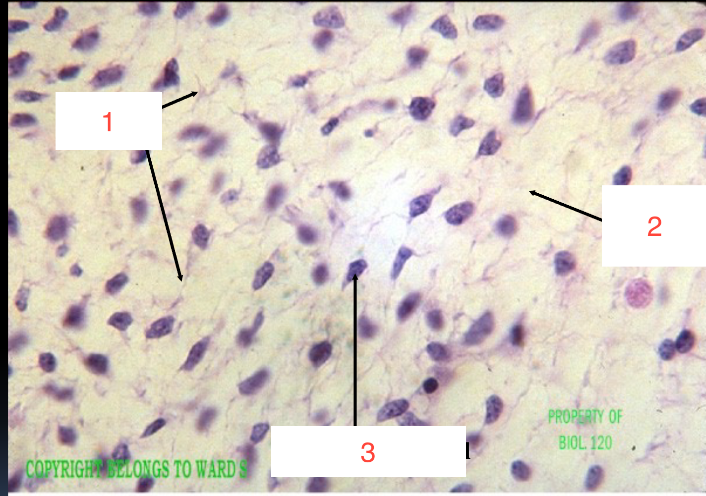 <p>1, 2, 3</p>