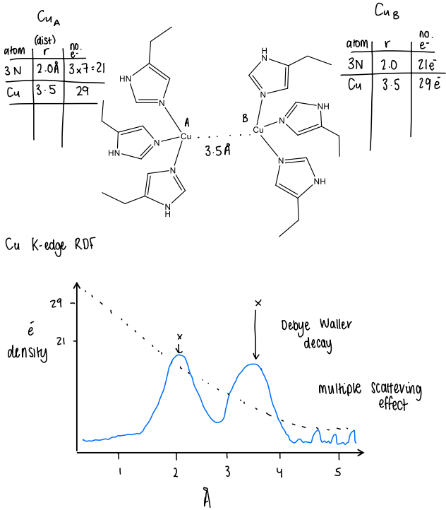 <ul><li><p>First identify the metal atom and the number of surrounding atoms.</p></li><li><p>Then find the distance between the metal atom and the neighboring atom.</p></li><li><p>Then find the distance between the metal and its surrounding atoms.</p></li><li><p>Calculate the number of electrons for both the metal and its surrounding atoms.</p></li><li><p>Plot a graph of electron density v distance and plot the previously determined values.</p></li><li><p>Account for the Debye Waller decay, causing the peaks to shift downwards.</p></li><li><p>The multiple scattering effect also causes some small peaks further away from the metal.</p></li></ul><p></p>