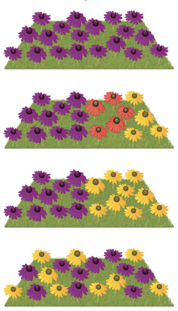 <p>what speciation?</p>