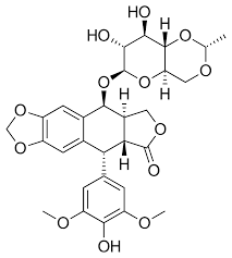<p>etoposide</p>