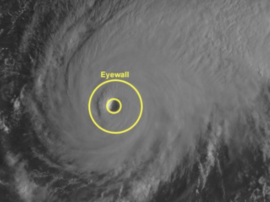 <p>The ________ is near the center and has the greatest wind speeds and heaviest rain.</p>