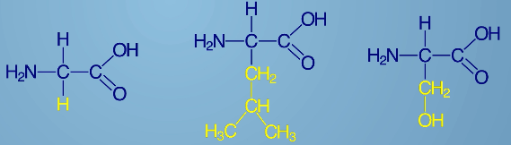 <p>Three different ___ are shown in the image</p>