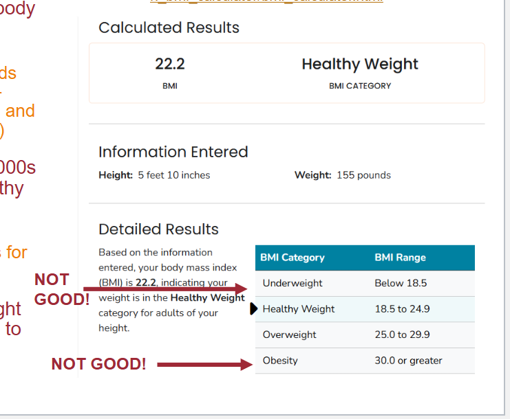 <p>Body Mass Index (BMI)</p>
