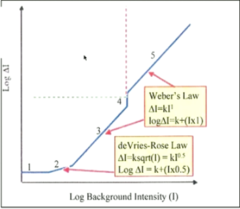 <p>Dark Light Region: What region is the dark light region apart of?</p>