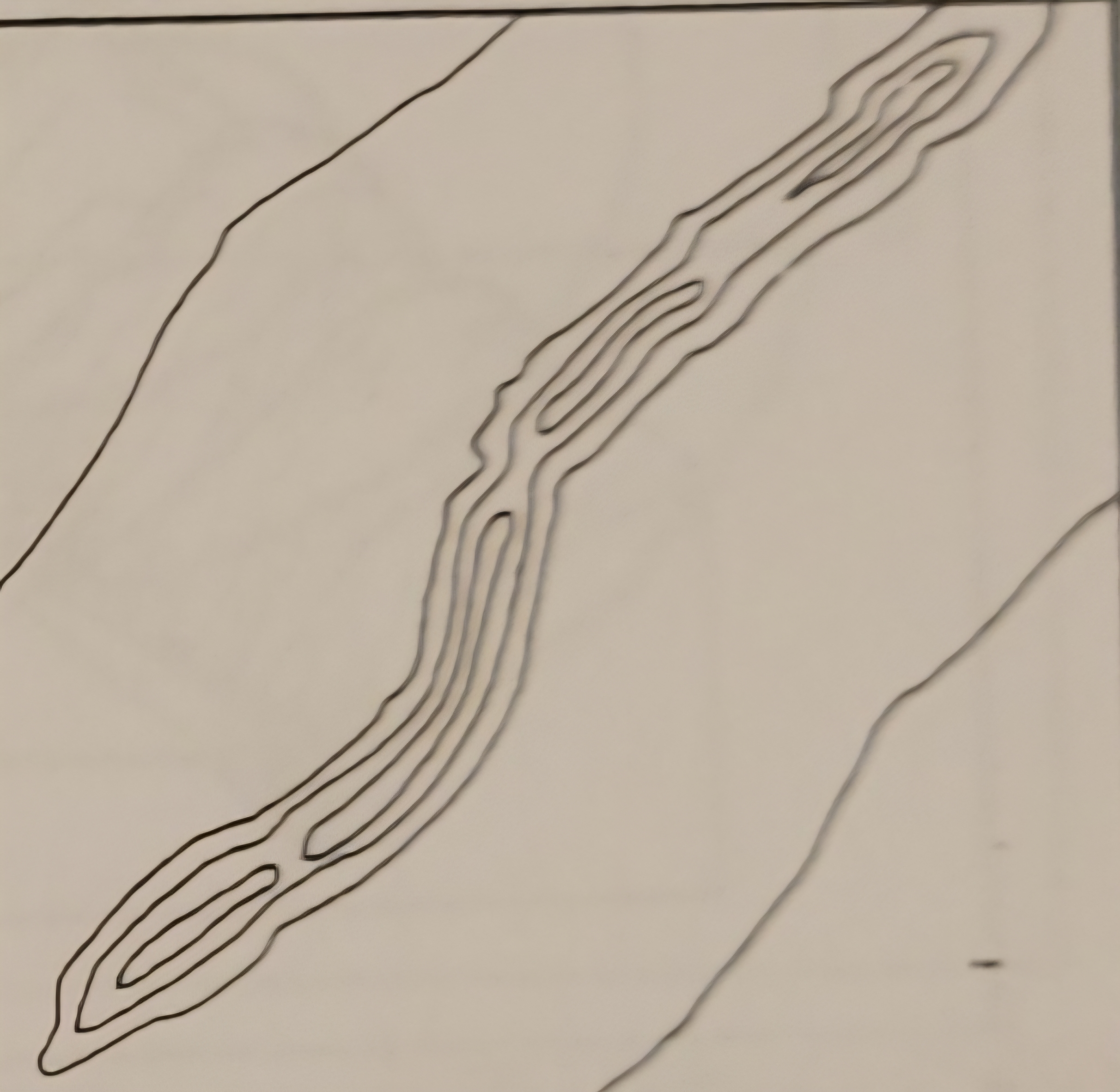 <p>what is this landform</p>
