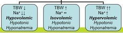 <p>A decrease in both total body water and sodium, often due to renal or non-renal causes.</p>