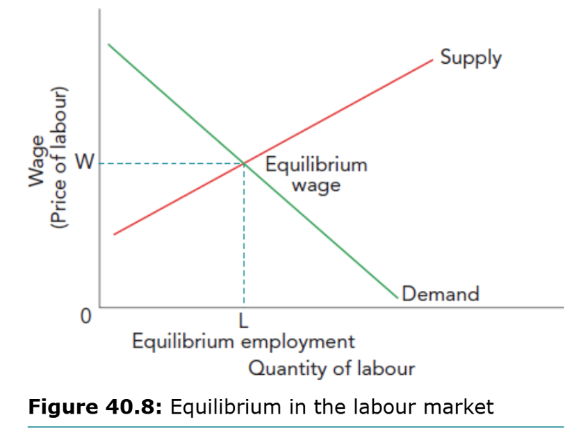 <p>Determined where supply and demand meet
&nbsp;- The wage and quantity of labour adjust to balance demand and supply; the market clears at the equilibrium wage.</p>
<p>&nbsp;- The demand curve reflects the value of the marginal productivity of labour
&nbsp;- In equilibrium the workers receive the value of their contribution to the production of goods and services
&nbsp;- The market clears at equilibrium wage</p>
