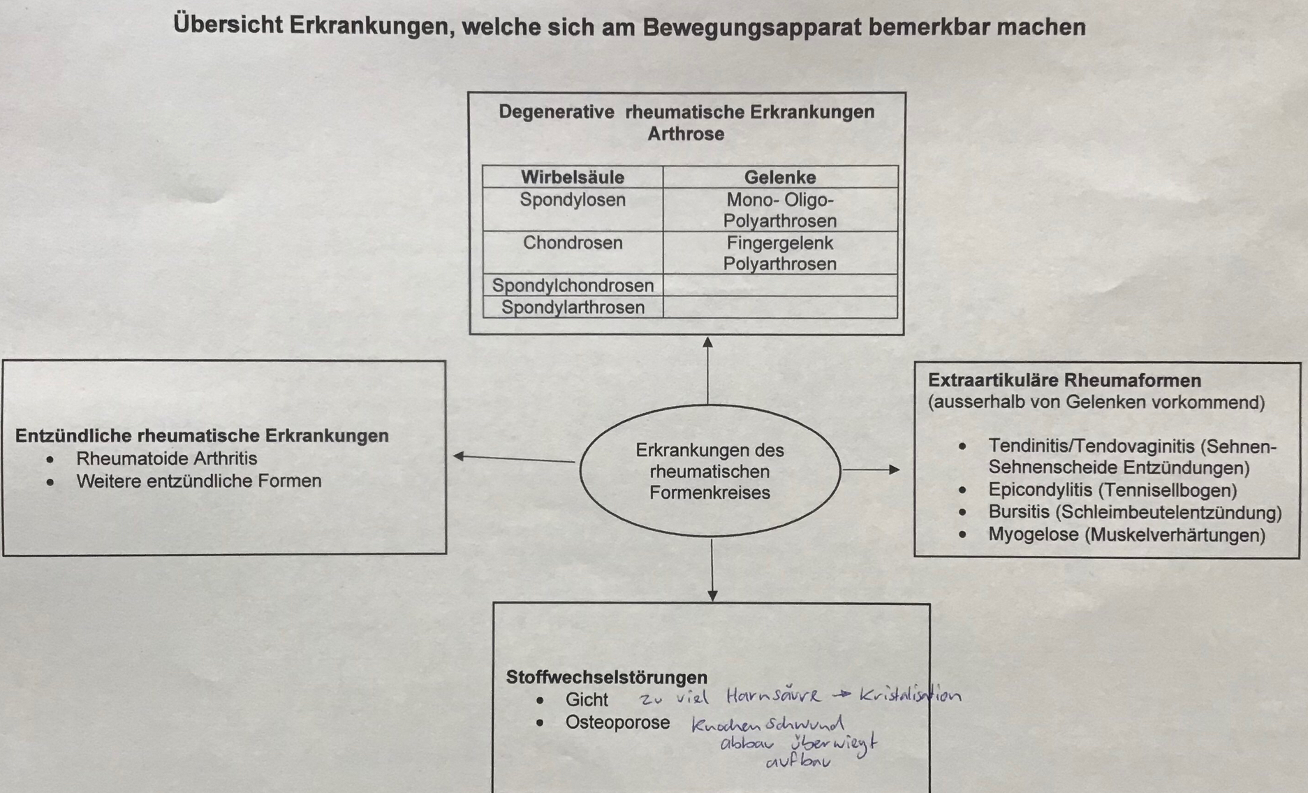 <p>Erkrankungen des Bewegungsapparates (rheumatische Beschwerden)</p>