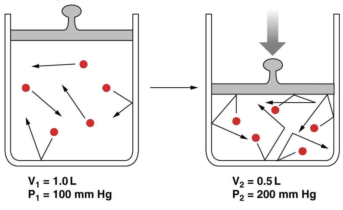<ul><li><p>inversely proportional</p></li><li><p>boyle’s law: P1V1=P2V2</p></li><li><p>decreasing volume increases collisions and increases pressure (and vice versa)</p></li></ul><p></p>