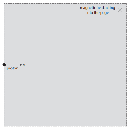 <p>Explain how the force on the proton changes as the proton moves through the magnetic field. (2)</p>