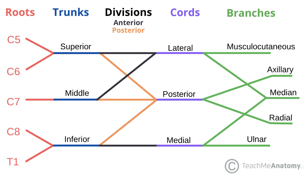 <p><span><strong>R</strong>obert <strong>T</strong>aylor <strong>D</strong>rinks <strong>C</strong>old <strong>B</strong>eer</span></p>