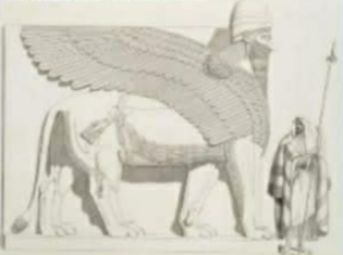 <p>The image below is known to be:</p>