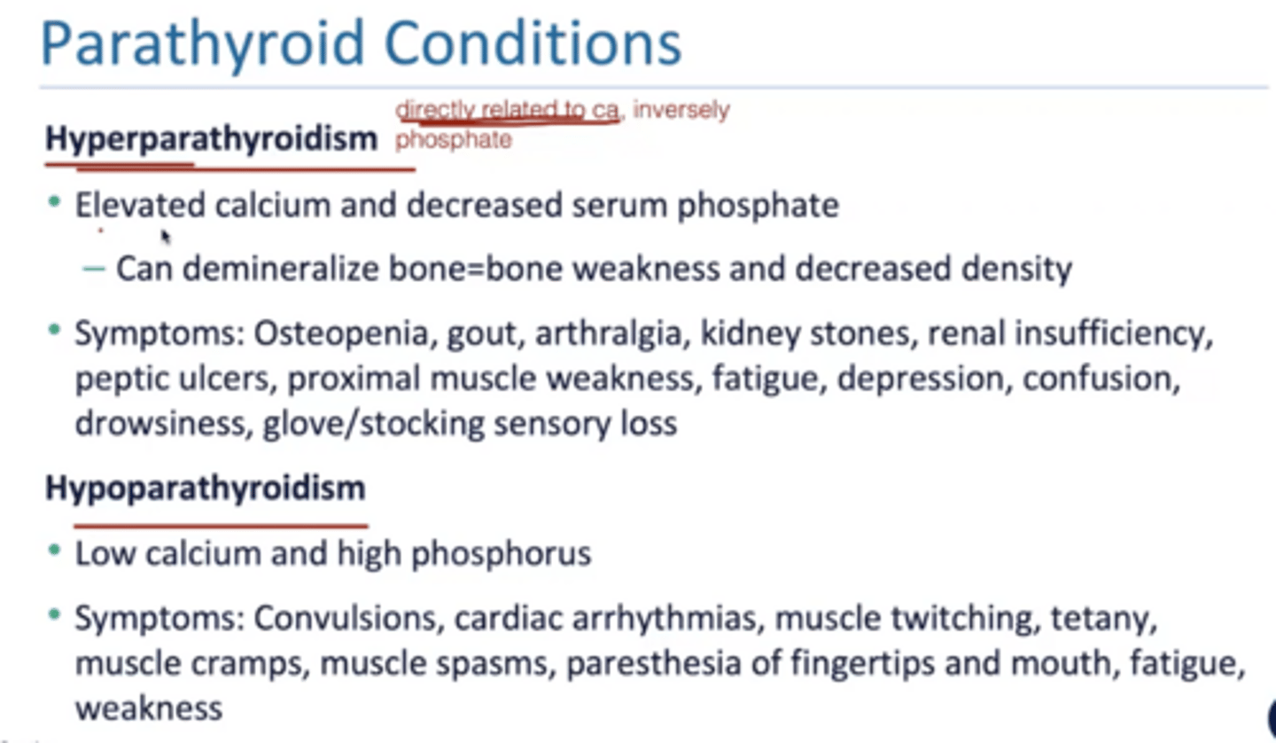 <p>directly related to calcium and inversely related to phosphate</p><p>-hyperparathyroidism: bones, stones, groans, moans, sensory</p><p>-hypoparathyroidism: analogy - cats are numb (trosseau sign is carpopedal spasm; chovsteak is tingling numbness in the facial nerve) </p>