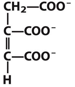 <p>What is this structure?</p>