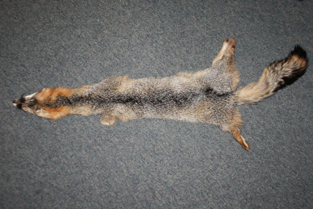 <p>Identify this fur</p>