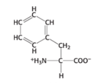 <p>Which amino acid is this?</p>