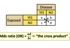 <p>cross product</p><p>= ad/bc the cross product</p>