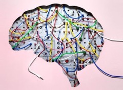 <p>automatically thinking or behaving in a particular way</p>