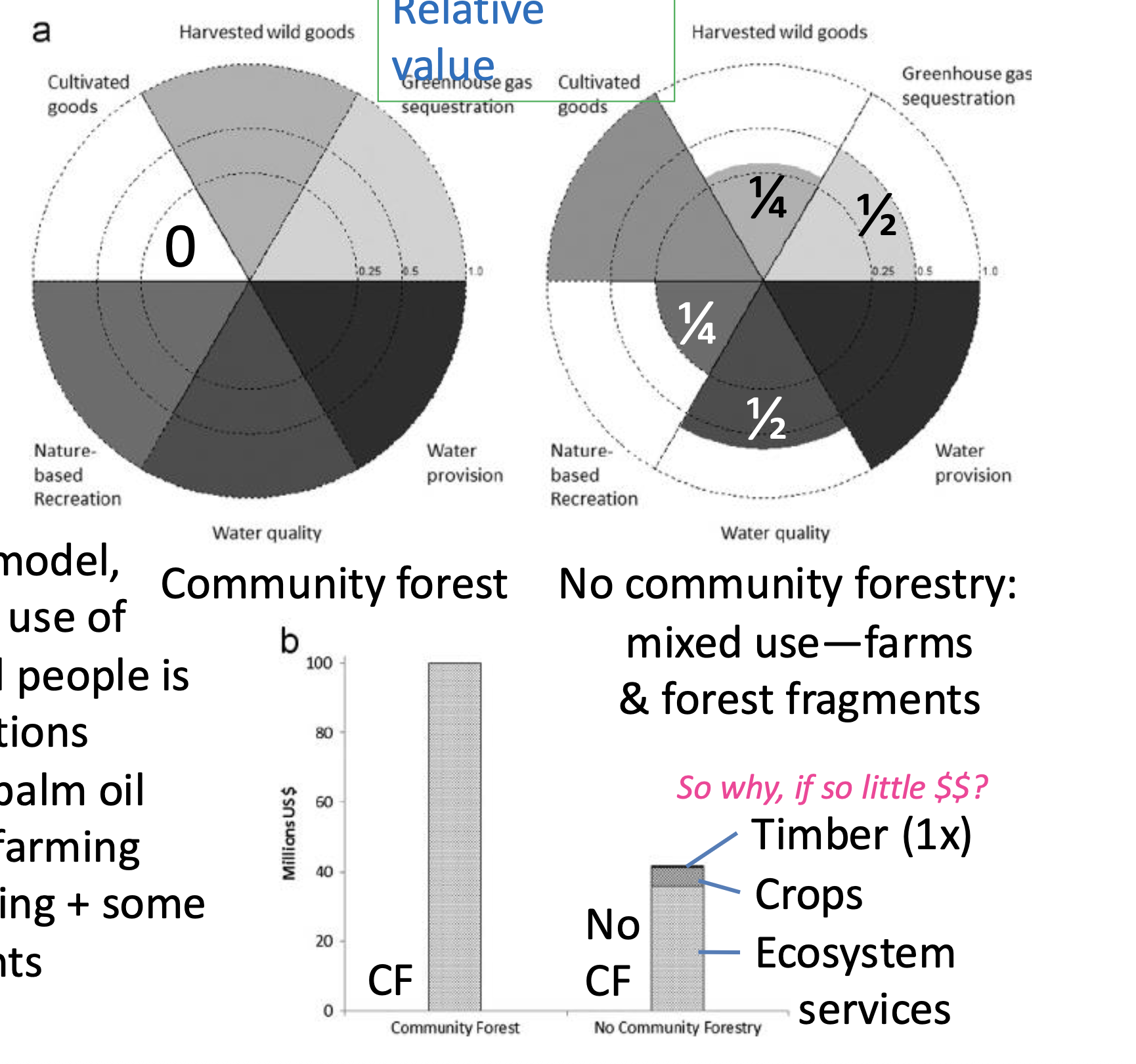 <p>According to this model,</p><p class="p1">the most valuable use of</p><p class="p2">the forest for local people is</p>