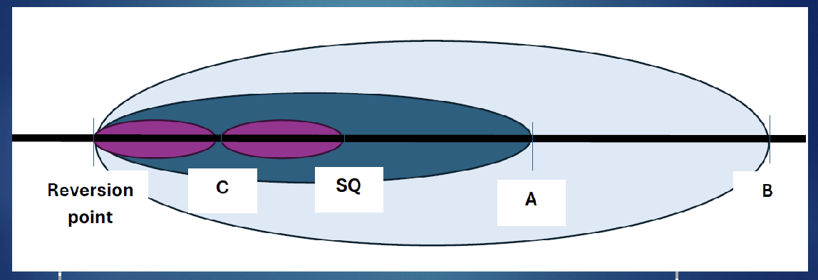 <p>What does the revision point mean?</p>