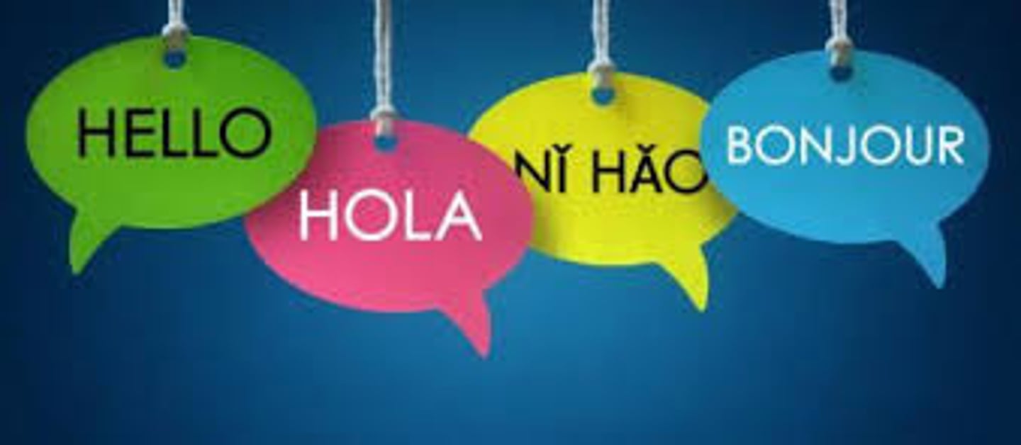 <p>conjugations of translated</p>