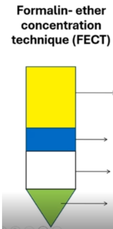 <p>LAYERS</p>