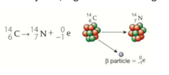 <p>Happens in nuclides hat have too namy neutrons, one of those neutrons turns into a proton and an electron</p>