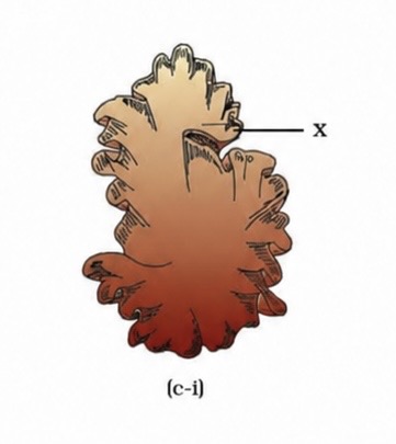 <p></p>
