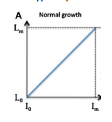 <p>What does this show?</p>