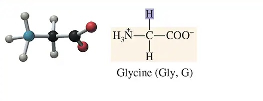<img src="https://assets.knowt.com/user-attachments/873aa9a5-1f75-4189-8e07-aaa2c4e3ab27.jpg" data-width="100%" data-align="center" alt="knowt flashcard image"><p></p>