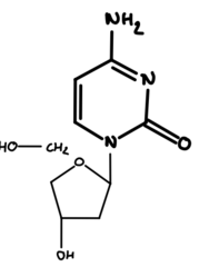 knowt flashcard image