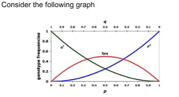 <p>The graph shows that when an allele frequency is high then…</p>