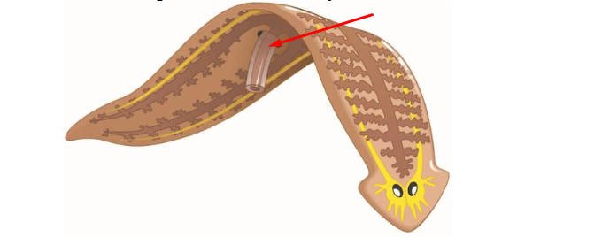 <p>what? define?</p>