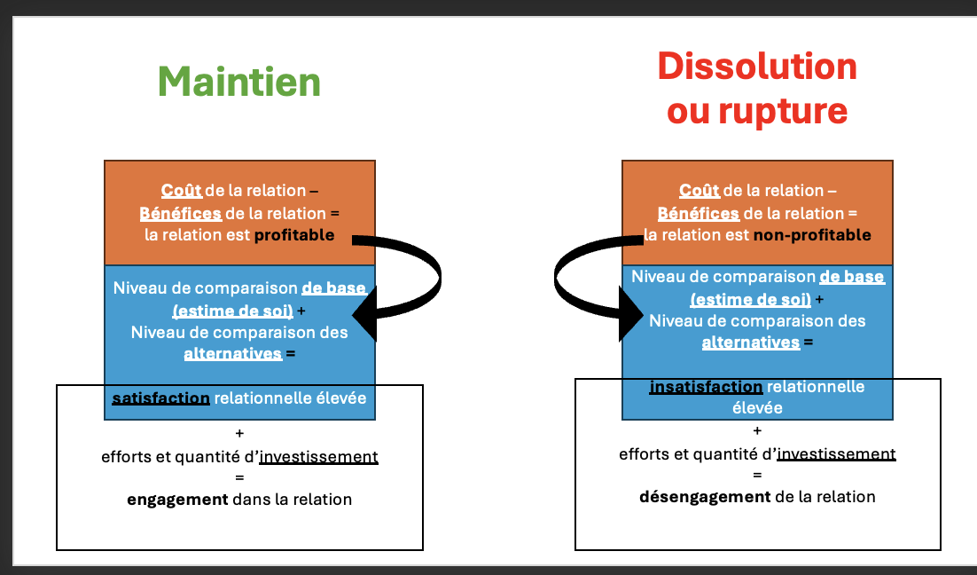 <p>Traiter et analyser l’information sociale afin de prendre une décision pour garder une consonance (éviter la dissonance)</p>