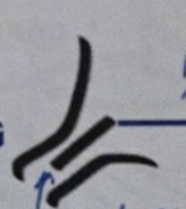 knowt flashcard image