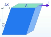 <p>(G)</p>