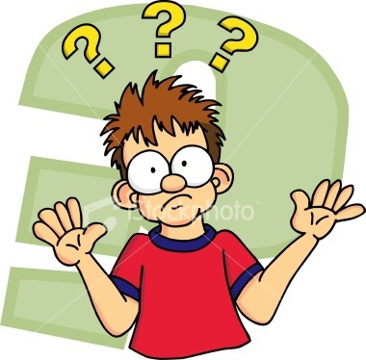 <p>I did not understand.</p>