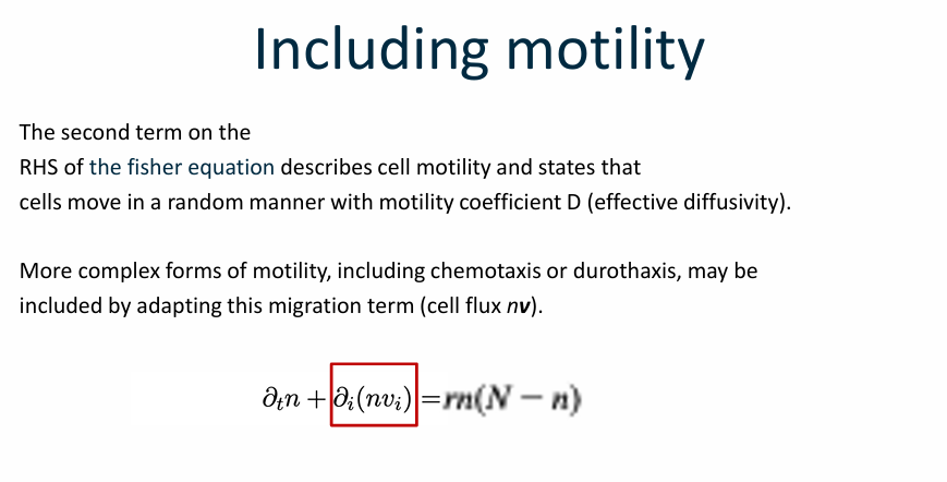 <p>What is the Fisher’s equation that includes motility</p>