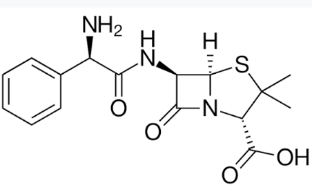 <p>Broad-spectrum Class 1 penicillin with an alpha-amino group on the side chain.</p>