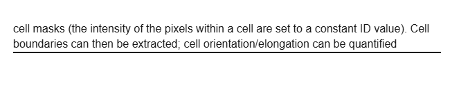 <p>cell masks</p>