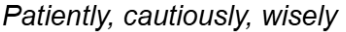 <p>Adverbs</p>