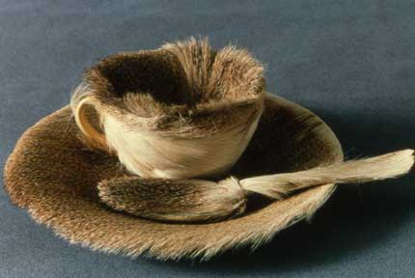 <p>Artist: Meret Oppenheim</p><p>Period: Surrealism</p><p>Dates: 1936 C.E.</p><p>Culture: Swiss</p><p>Material: Fur covered cup, saucer and spoon</p>