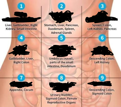 <p>What is region number 5 called?</p>