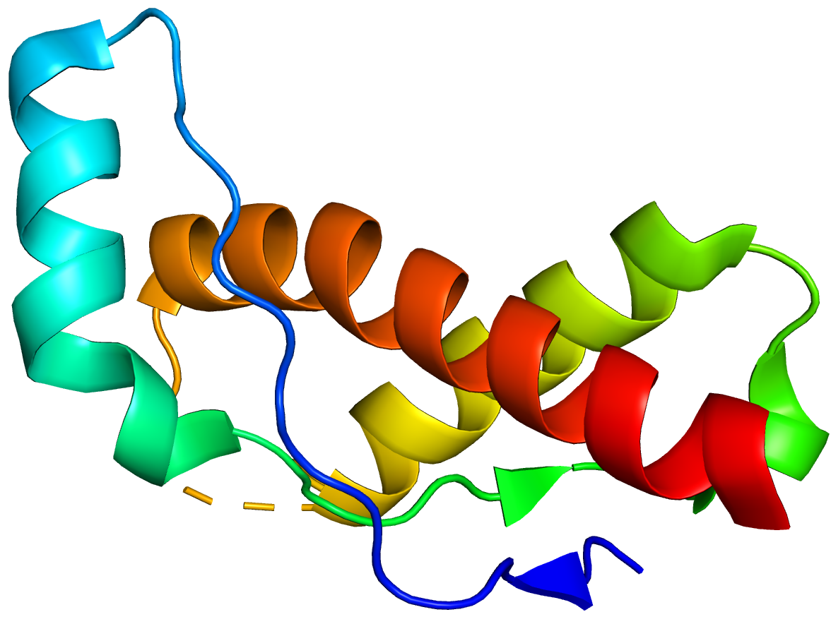 <p>What is this accr. to the definition?</p><p><strong>A viral infection agent PROTIEN w/ no DNA or RNA</strong></p>
