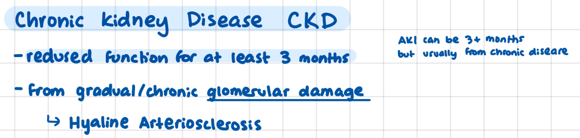 <p>reduced function for 3 months</p><p>gradual/chronic glomerular damage</p>