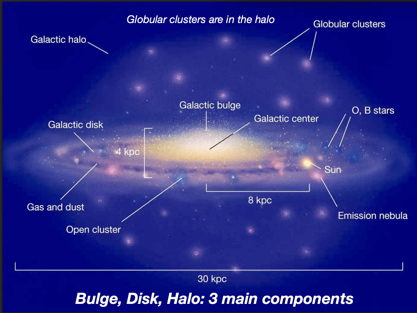 <p>Bulge, Disk, Halo</p>