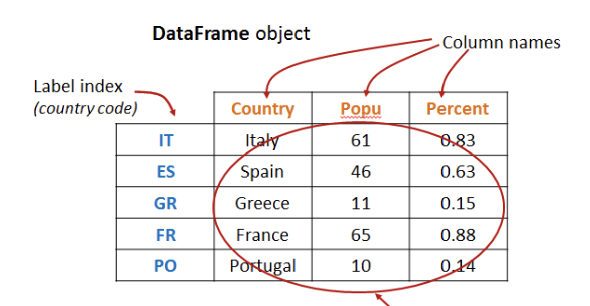 <p>A python object in Pandas, essentially a table</p>