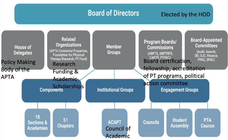 <ol><li><p>Board of Directors - elected by HOD</p></li><li><p>HOD - policy makers</p></li><li><p>related organizations - research funding, academic scholarships</p></li><li><p>program boards/commissions - board certification, fellowship, program accreditation</p></li><li><p>board appointed committees</p></li><li><p>member groups</p><ol><li><p>components (18 sections & academics, 51 chapters)</p></li><li><p>institutional groups (ACAPT - council of academics)</p></li><li><p>engagement groups (council, student assembly, PTA caucus)</p></li></ol></li></ol><p></p>