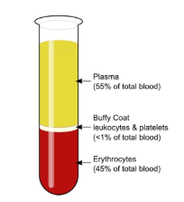 <ol><li><p><span style="background-color: transparent;">Plasma</span></p></li><li><p><span style="background-color: transparent;">White blood cells (leucocytes)</span></p></li><li><p><span style="background-color: transparent;">Platelets (thrombocytes)</span></p></li><li><p><span style="background-color: transparent;">Red blood cells (erythrocytes)</span></p></li></ol><p></p>