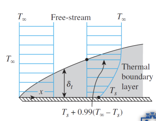 <ul><li><p>Fluid with a uniform velocity and temperature (T<sub>ꚙ</sub>) approaches a stationary plate with a temperature (T<sub>s</sub>)</p></li><li><p>Bottom layer of fluid reaches thermal equilibrium with plate (no slip condition)</p></li><li><p>Bottom layer of fluid exchanges energy with adjacent layers</p></li><li><p>Continues until the diffusion of energy between layers becomes insignificant</p></li><li><p>Temperature varies from T=Ts at y=0 to T = T<sub>ꚙ</sub> at y > δ<sub>t</sub></p><ul><li><p>T=T<sub>s</sub>+0.99(T<sub>ꚙ</sub>-T<sub>s</sub>) at y=δ</p></li></ul></li></ul><p></p>